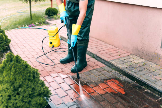 Best House Pressure Washing  in Bishop, TX