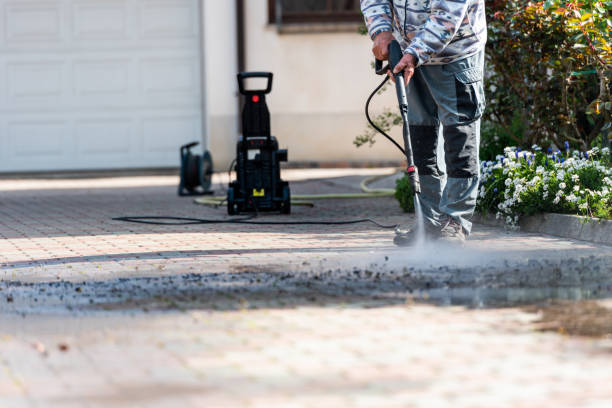 Best Roof Pressure Washing  in Bishop, TX