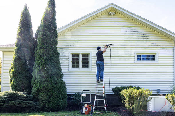 Best Deck Cleaning Services  in Bishop, TX